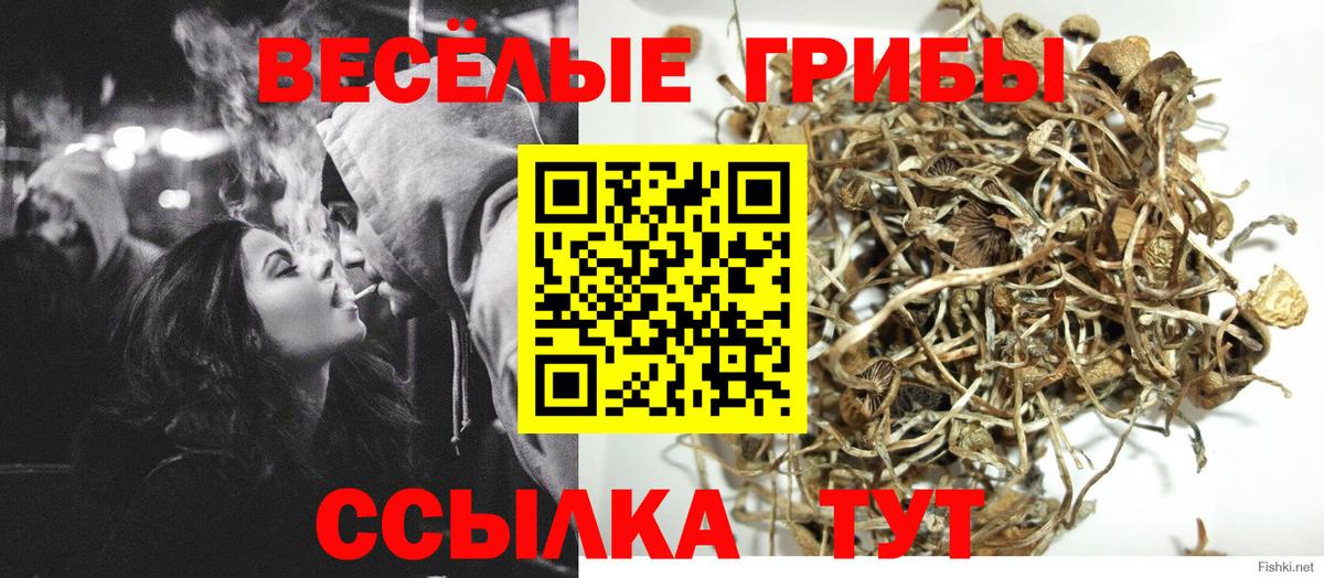 Галлюциногенные грибы GOLDEN TEACHER Вичуга