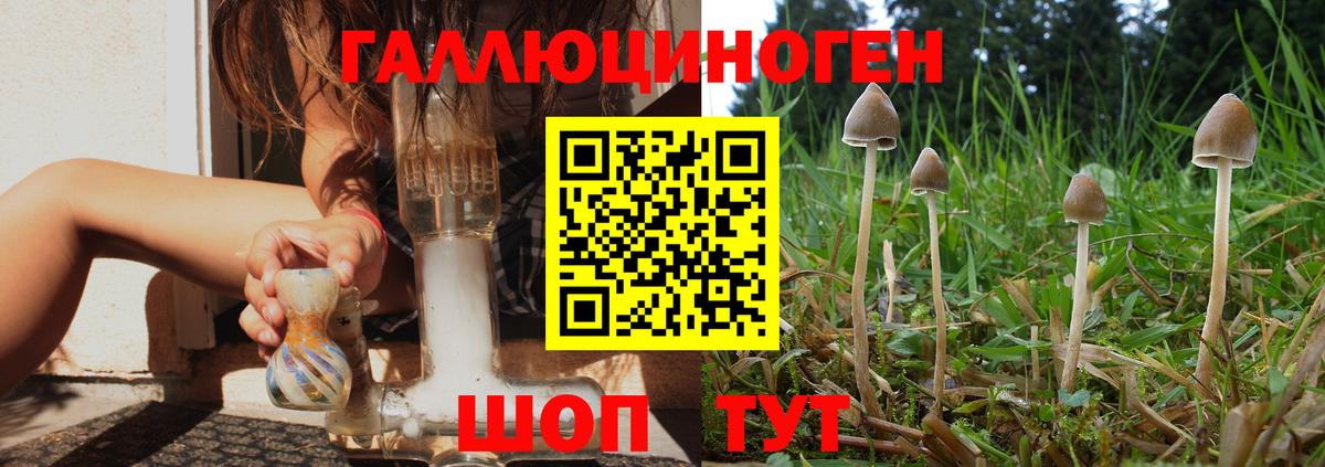 Галлюциногенные грибы ЛСД  Вход с VPN  Вичуга  Псилоцибиновые грибы прущие грибы 